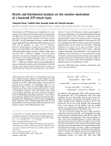Báo cáo Y học: Kinetic and biochemical analyses on the reaction mechanism of a bacterial ATP-citrate lyase