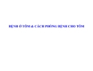 BỆNH Ở TÔM VÀ CÁCH PHÒNG BỆNH CHO TÔM