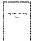 Đăng ký nhãn hiệu hàng hóa