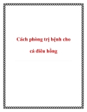 Cách phòng trị bệnh cho cá điêu hồng