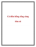 Cách nuôi cá điêu hồng sống cùng tôm sú