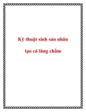 Các kỹ thuật sinh sản nhân tạo cá lăng chấm