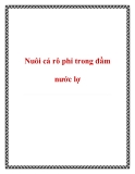 Nuôi cá rô phi trong đầm nước lợ