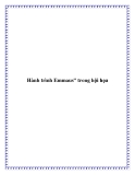 Hành trình Emmaus” trong hội họa