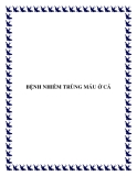 BỆNH NHIỄM TRÙNG MÁU Ở CÁ