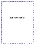 BỆNH DO MÔI TRƯỜNG