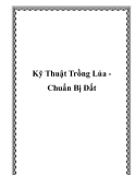 Kỹ Thuật Trồng Lúa Chuẩn Bị Đất