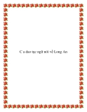 C a dao tục ngữ nói về Long An
