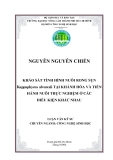 KHẢO SÁT TÌNH HÌNH NUÔI RONG SỤN Kappaphycus alvarezii TẠI KHÁNH HÕA VÀ TIẾN HÀNH NUÔI THỰC NGHIỆM Ở CÁC ĐIỀU KIỆN KHÁC NHAU