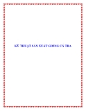 CÁC KỸ THUẬT SẢN XUẤT GIỐNG CÁ TRA