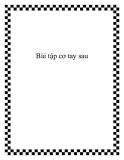Bài tập cơ tay sau