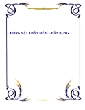 ĐỘNG VẬT THÂN MỀM CHÂN BỤNG