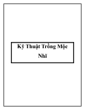 Kỹ Thuật Trồng Mộc Nhĩ