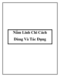 Nấm Linh Chi Cách Dùng Và Tác Dụng
