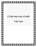 Lễ hội chọi trâu cổ nhất Việt Nam