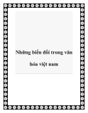 Những biến đổi trong văn hóa việt nam