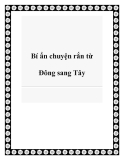 Bí ẩn chuyện rắn từ Đông sang Tây