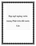 Đẹp ngỡ ngàng vườn tượng Phật trên đất nước Lào