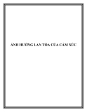 ẢNH HƯỞNG LAN TỎA CỦA CẢM XÚC