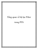 Tổng quan về bộ lọc Filter trong PTS