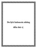 Du lịch đến Indonesia những điều thú vị