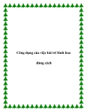 Công dụng của việc bài trí bình hoa đúng cách