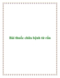 Bài thuốc chữa bệnh từ rắn