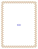 Mẫu truyện ngắn BÃO