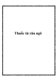 Thuốc từ râu ngô