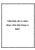Nấm linh chi có chữa được viêm đại tràng co thắt?