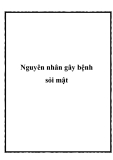 Nguyên nhân gây bệnh sỏi mật