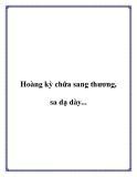 Hoàng kỳ chữa sang thương, sa dạ dày....