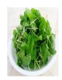 Kinh nghiệm dân gian chữa bệnh bằng rau má 