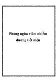 Phòng ngừa viêm nhiễm đường tiết niệu