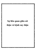 Sự liên quan giữa sỏi thận và bệnh suy thận