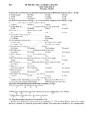 Đề thi học kỳ II môn tiếng anh 10 năm học 2012 - 2013 - Đề 2