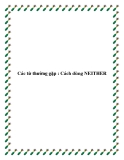 Các từ thường gặp : Cách dùng NEITHER