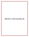 Hình thức so sánh trong tiếng Anh