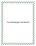 Các từ thường gặp: Cách dùng SO