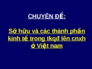 Kinh tế chính trị - Sở hữu và các thành phần kinh tế trong thời kỳ quá độ lên CNXH ở VN