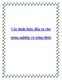 Các hình thức đầu tư cho nông nghiệp và nông thôn