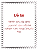 Đề tài: Nghiên cứu xây dựng quy trình sản xuất thử nghiệm rượu vang Dứa pha Nho