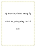 Kỹ thuật chuyển hoá nương rẫy thành rừng trồng nông lâm kết hợp