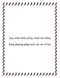 Quy trình nhân giống chuối tiêu hồng bắng phương pháp nuôi cấy mô tế bào
