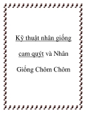 Kỹ thuật nhân giống cam quýt và Nhân Giống Chôm Chôm