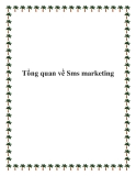 Tổng quan về Sms marketing