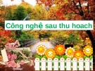Tiểu luận: Tìm hiểu các phương pháp khiểm tra nguyên liệu trong công nghệ sản xuất gạo