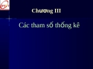 Bài giảng Thống kê doanh nghiệp (Ths.Trần Ngọc Minh) - Chương 3: Các tham số thống kê