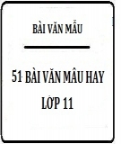 Những bài Văn mẫu hay lớp 11