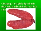 Bài giảng Kỹ thuật sản xuất cá giống: Chương 2 - ThS. Võ Ngọc Thám